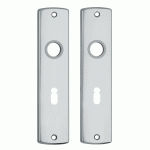 AXA Curve Binnendeurschilden SL56 F1 Geanodiseerd 180x41mm 6350-30-91/56E-0